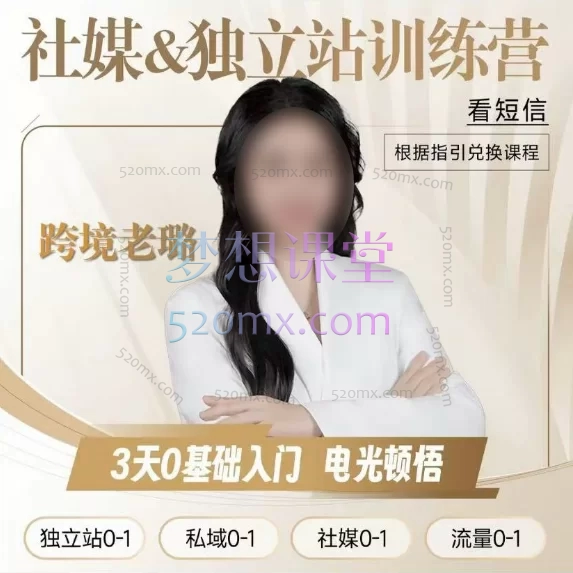 跨境老璐:跑通【独立站0-1】独立站电光顿悟训练营