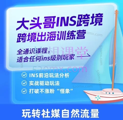 大头哥ins跨境电商出海训练营,全通识课程,适合任何ins级别玩家
