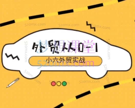 VIVI外贸创业记:小六外贸实战课-私教跨境课程-外贸教程-精品网课-电商运营课库课堂