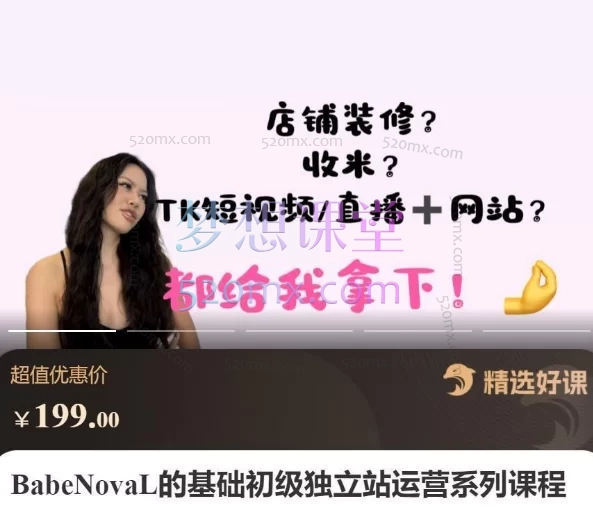 BabeNovaL的基础初级独立站运营系列课程跨境课程-外贸教程-精品网课-电商运营课库课堂