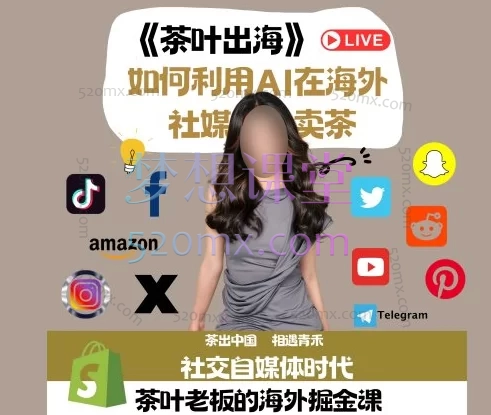 青禾-子涵Nemesis:茶叶出海如何利用ai在海外社媒卖茶掘金课跨境课程-外贸教程-精品网课-电商运营课库课堂