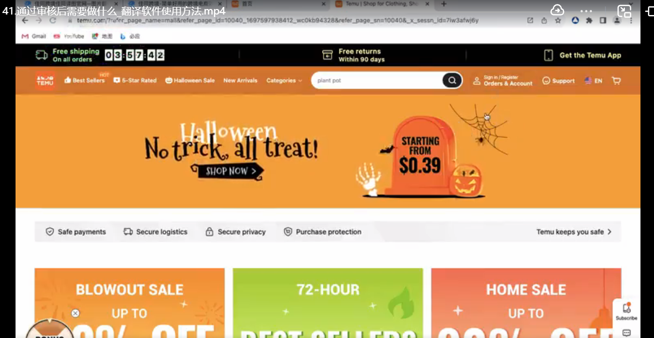 苗苗·拼多多跨境（temu）课程