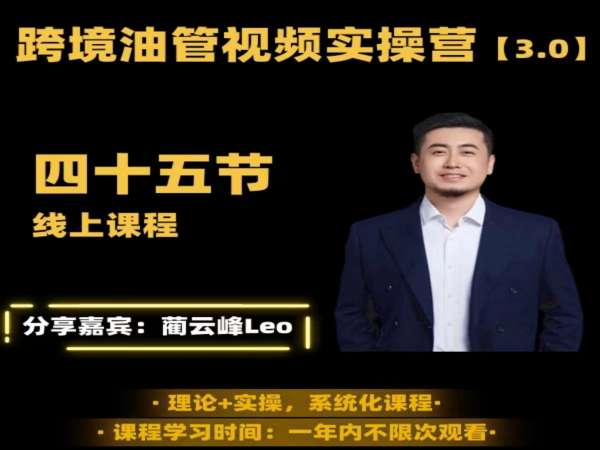 【黑松与山】蔺云峰 Leo 油管 YouTube 线上运营实操课:45 节系统化教学,覆盖跨境电商运营跨境课程-外贸教程-精品网课-电商运营课库课堂