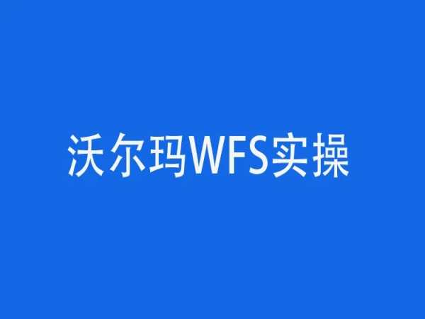 跨境电商 365 沃尔玛 WFS 运营实操课:10 年资深卖家带你从开店到运营跨境课程-外贸教程-精品网课-电商运营课库课堂