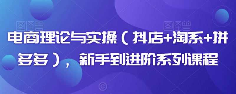 磊子电商理论与实操课 抖店淘系拼多多新手进阶教程跨境课程-外贸教程-精品网课-电商运营课库课堂