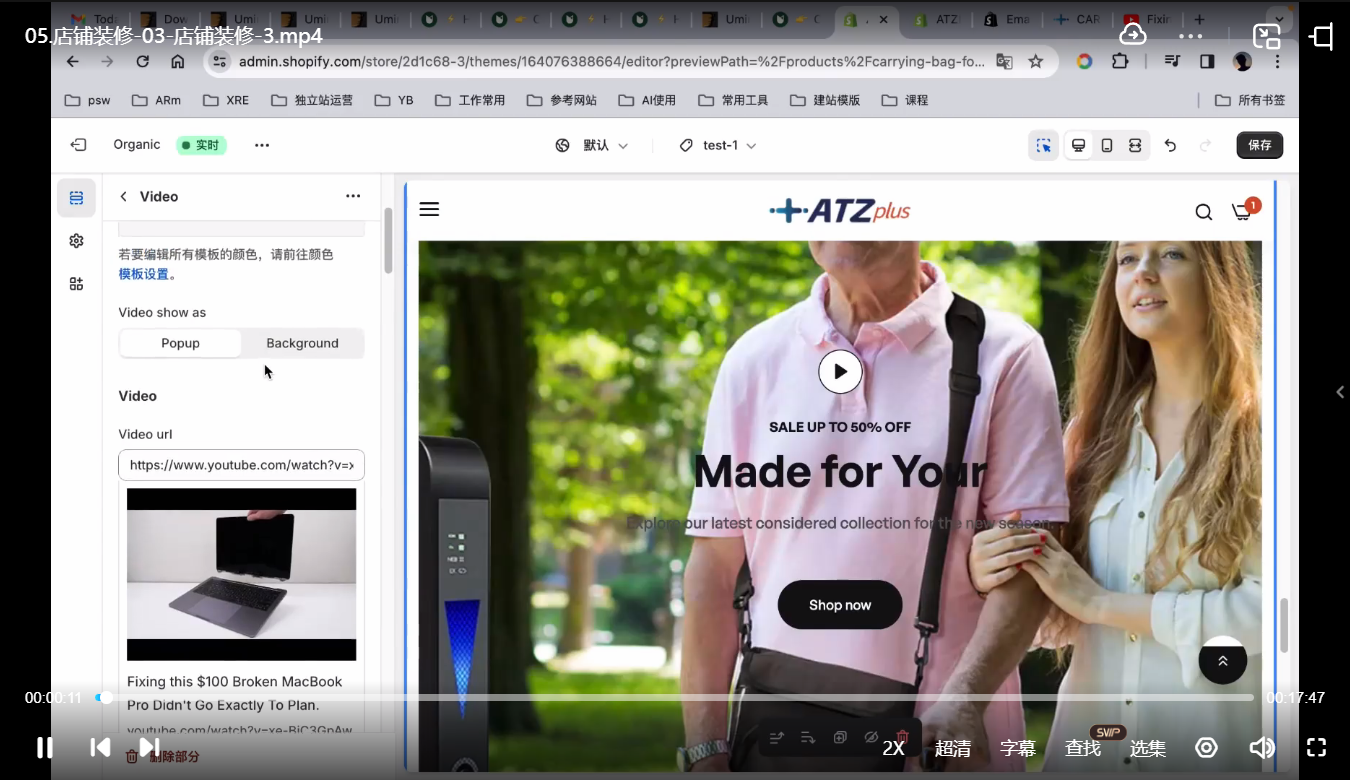 飞飚出海·Shopify零基础建站,独立站从0-1快速搭建