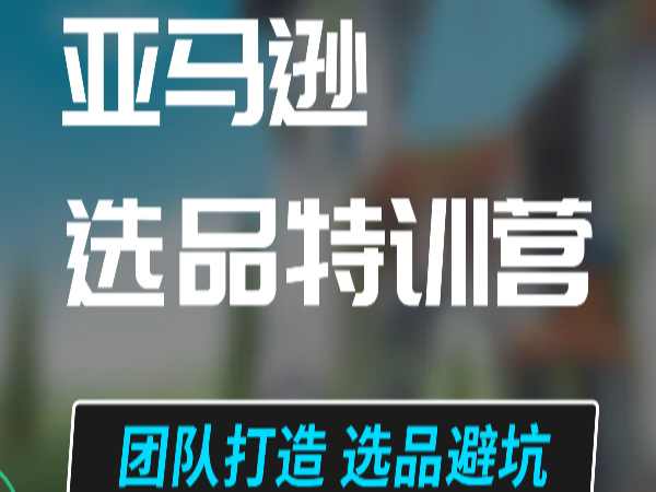 迷之一跨境 ：亚马逊选品特训营+亚马逊数据运营特练营跨境课程-外贸教程-精品网课-电商运营课库课堂