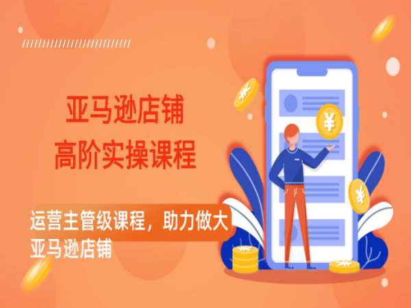 跨境雨哥亚马逊店铺高级实操课程:运营主管级技能,助力店铺做大跨境课程-外贸教程-精品网课-电商运营课库课堂