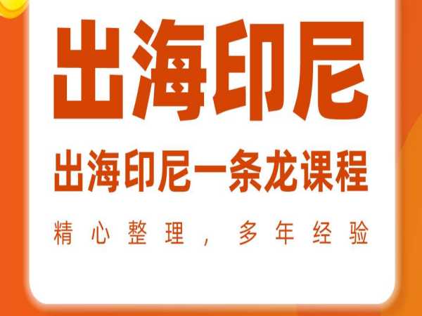 何英威印尼出海经商课_跨境商务签证 / 公司注册 / 税务合规实操教程跨境课程-外贸教程-精品网课-电商运营课库课堂