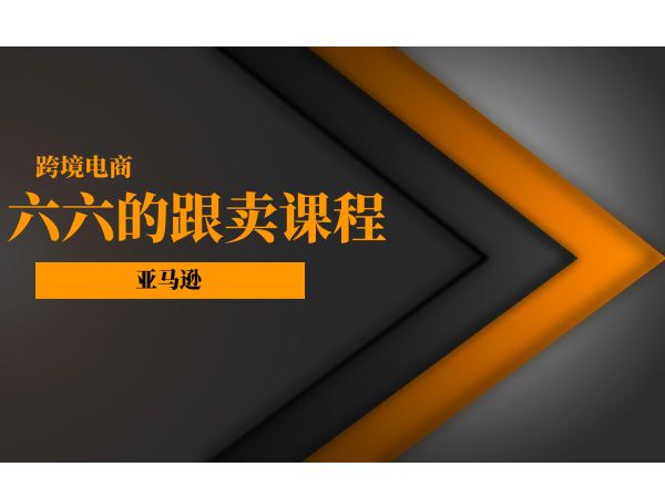 六六跨境_亚马逊跟卖课程教程_新手安全快速出单实操指南