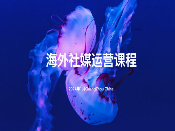 跨境电商小 P 哥_海外社媒运营课_矩阵获客与流量引爆跨境教程跨境课程-外贸教程-精品网课-电商运营课库课堂