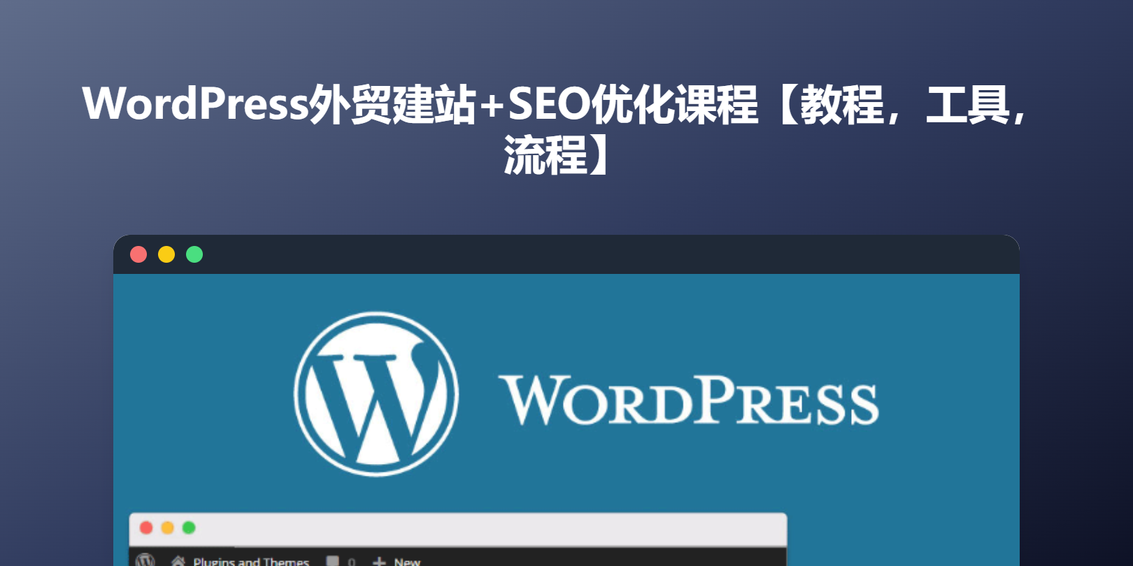 做外贸的Victoria:WordPress外贸建站+SEO优化课程