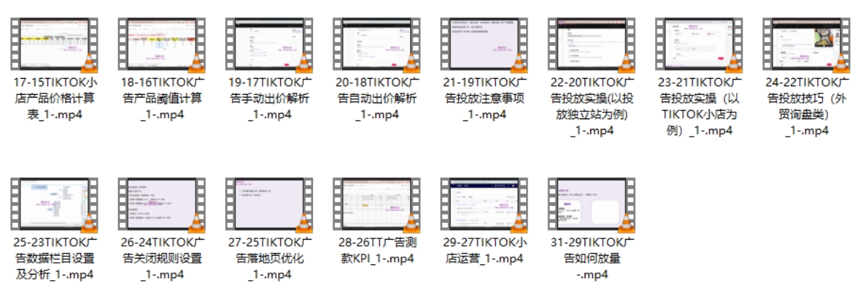 梦合出海 TIKTOK 广告投放从 0-1 实操课_课程详情解析