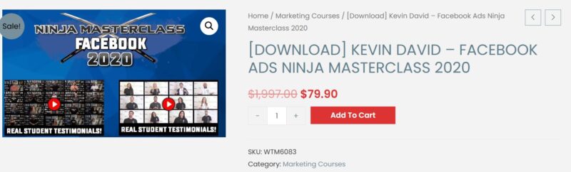 Kevin David Facebook ds Ninja Masterclass 跨境课程_Facebook 广告忍者大师班详解跨境课程-外贸教程-精品网课-电商运营课库课堂