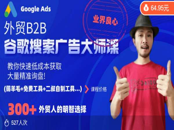 二叔外贸B2B谷歌搜索广告大师课，教你低成本获取大量精准询盘跨境课程-外贸教程-精品网课-电商运营课库课堂