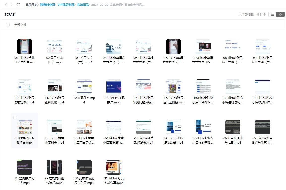 泰东老师·TikTok全域运营课