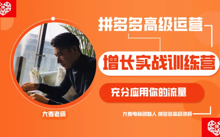 大麦老师拼多多单品爆款打造课程(更新6月)跨境课程-外贸教程-精品网课-电商运营课库课堂