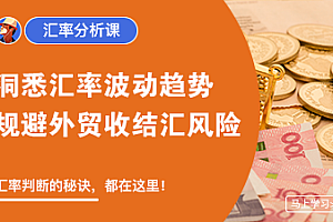 外土司汇率分析冠军，洞悉汇率波动趋势，规避外贸收结汇风险跨境课程-外贸教程-精品网课-电商运营课库课堂