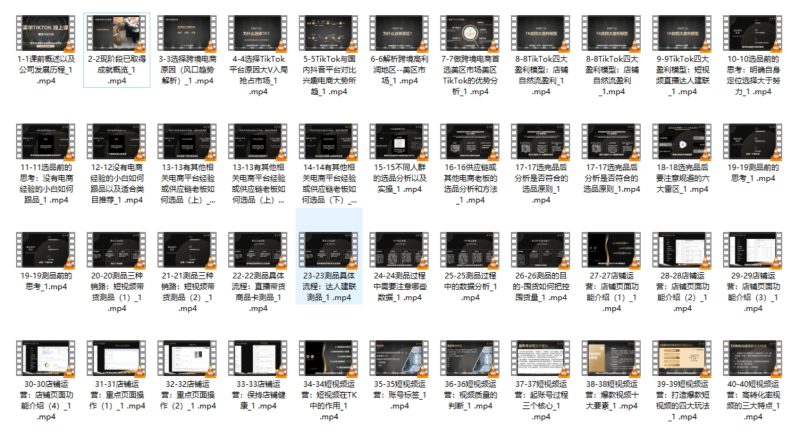 英华TIKTOK全链路0-1变现路径教学跨境课程-外贸教程-精品网课-电商运营课库课堂