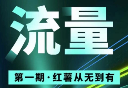 十有八九学院-小红书店铺从 0-1 运营课：低成本无货源变现实战课程跨境课程-外贸教程-精品网课-电商运营课库课堂