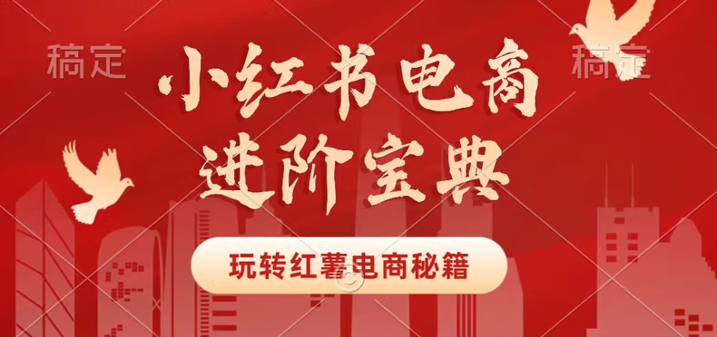 日日老师-小红书电商进阶版：从运营到变现的全链路升级指南跨境课程-外贸教程-精品网课-电商运营课库课堂