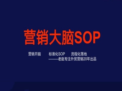 营销大脑SOP外贸营销全攻略：从定位到落地，全方位打造营销竞争力跨境课程-外贸教程-精品网课-电商运营课库课堂