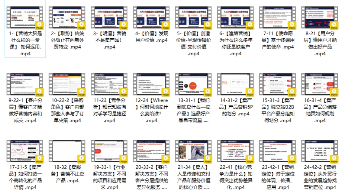跨境电商小蜜蜂跨境外贸独立站-营销大脑SOP