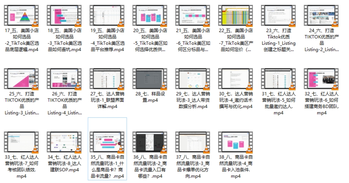 Andy TikTok 美区全攻略课程：店铺运营 + 选品策略 + 达人营销 + 商品卡玩法跨境课程