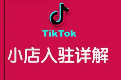 2024阿华TikTok 跨境小店从入驻到运营实操全攻略课程跨境课程-外贸教程-精品网课-电商运营课库课堂