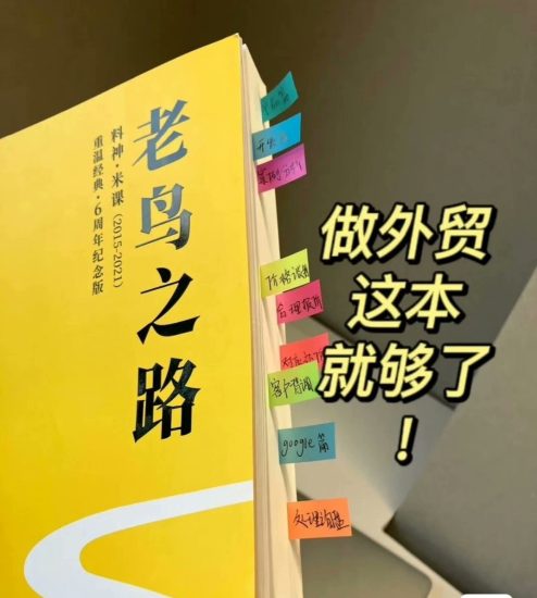 料神《外贸老鸟之路》绝版经典:外贸业务员成长学习资料(PDF 文档)跨境课程-外贸教程-精品网课-电商运营课库课堂