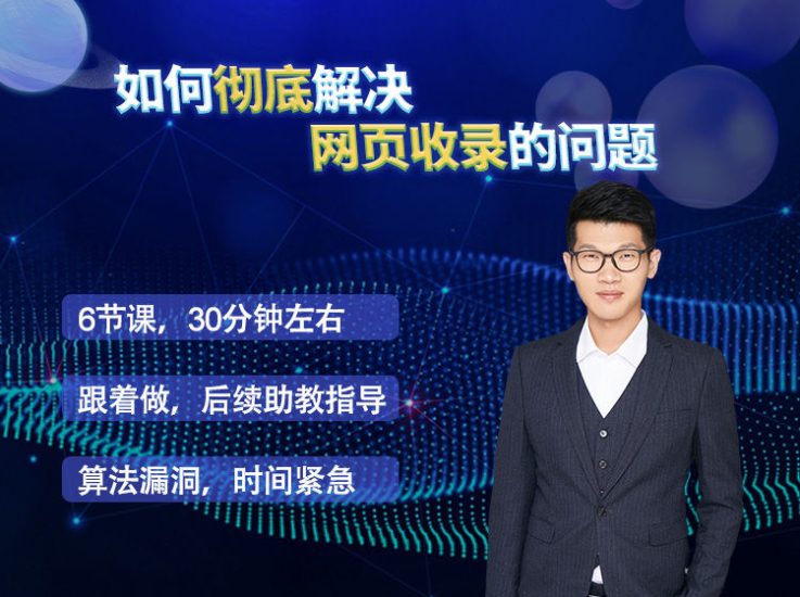 雷子leizi如何彻底解决网站收录的问题跨境课程-外贸教程-精品网课-电商运营课库课堂