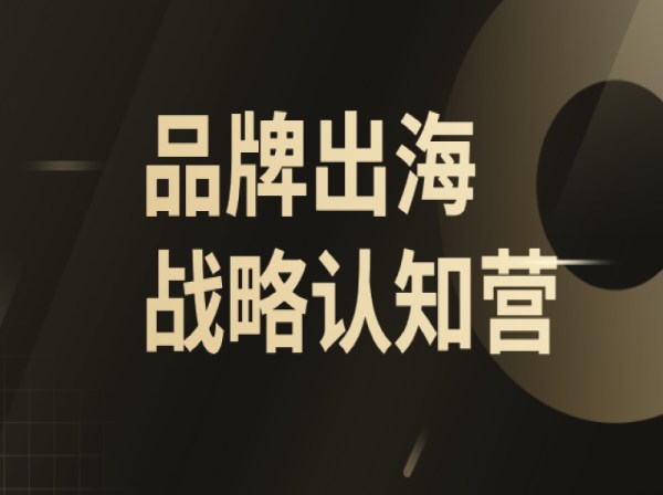 任小姐出海战略咨询品牌出海战略认知营：从零打造出海品牌 + 精准定位目标用户跨境课程跨境课程-外贸教程-精品网课-电商运营课库课堂