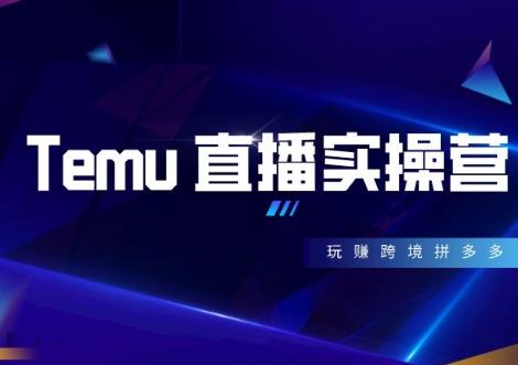 Temu 直播实操营：直播答疑 + 高效实操特训课程（228 节实操）跨境课程-外贸教程-精品网课-电商运营课库课堂