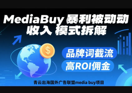 2024青云出海国外广告联盟media buy项目课程跨境课程-外贸教程-精品网课-电商运营课库课堂