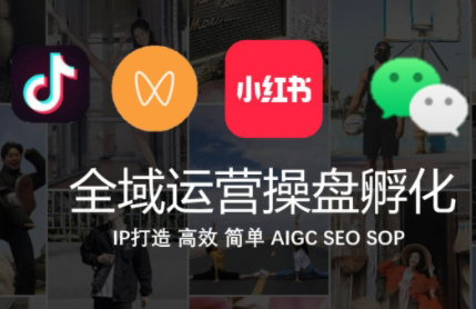 全域运营操盘（抖音 + 私域 + 小红书）：多平台 IP 孵化与流量变现实战指南跨境课程-外贸教程-精品网课-电商运营课库课堂