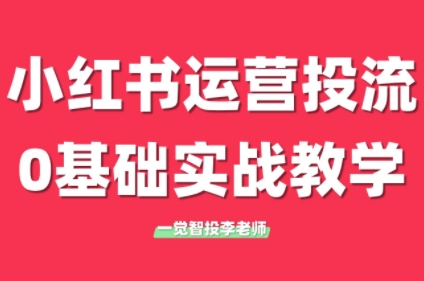李老师-小红书运营投流，0 基础实战教学：从小红书到抖音的全平台投放指南跨境课程-外贸教程-精品网课-电商运营课库课堂
