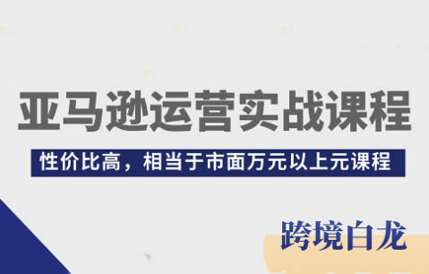 白龙老师-亚马逊运营实战课程：一站式解锁亚马逊运营密码跨境课程-外贸教程-精品网课-电商运营课库课堂