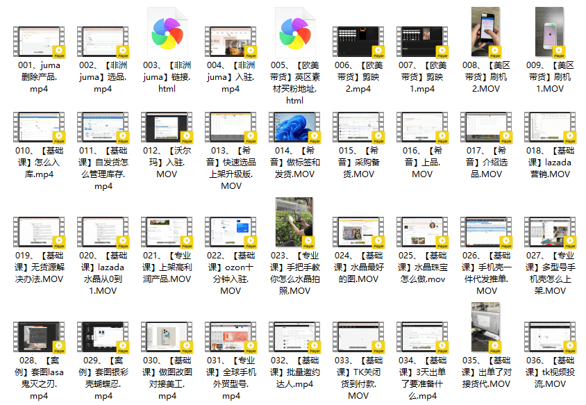 周阿姨 海外跨境电商水晶课,小白出海必学