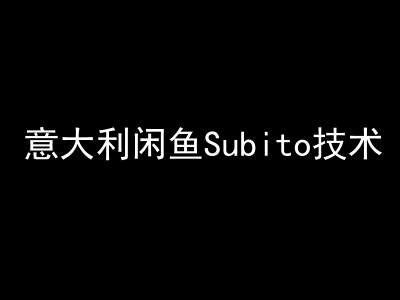 意大利闲鱼Subito技术-kim跨境电商教程2024打包下载