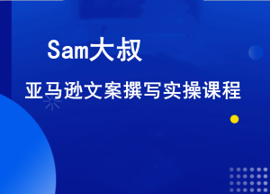 Sam 大叔亚马逊大卖 SEO 文案课：多位一体打造优质文案跨境课程跨境课程-外贸教程-精品网课-电商运营课库课堂