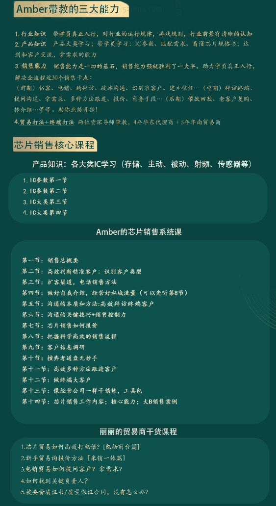 Amber的芯片销售系统课