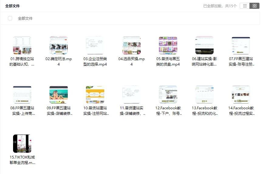 25年全新版-跨境出海独立站及全域流量营销实操课程-厚玉跨境电商