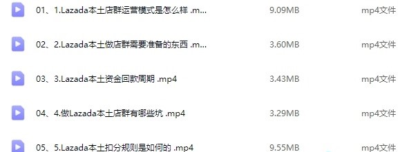 梨子姐Lazada跨境电商本土店群玩法：跨境无货源电商赚钱