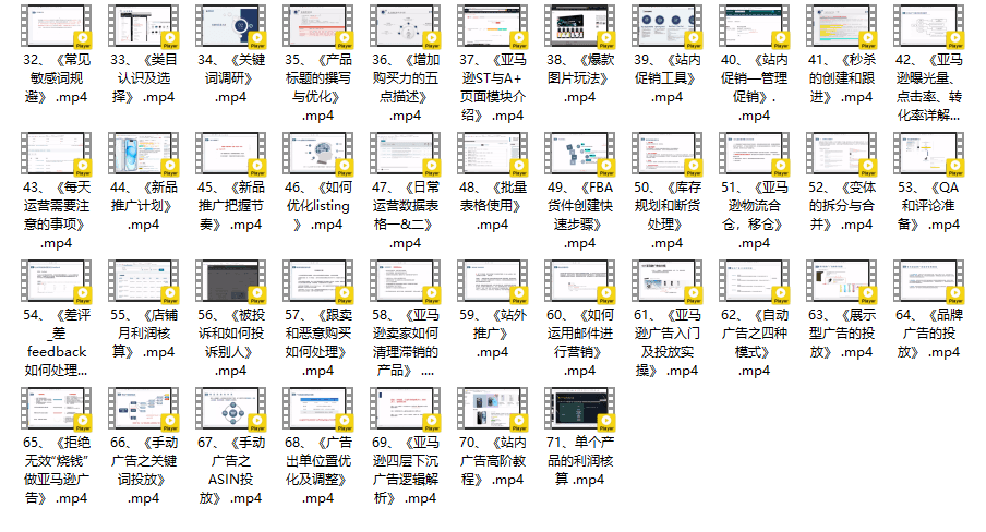 白龙老师·亚马逊运营实战课程