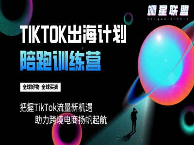 TikTok出海计划陪跑训练营-翊星联盟跨境电商教程打包下载