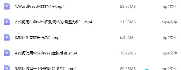 小王子的外贸笔记:外贸独立站WordPress建站教程视频课