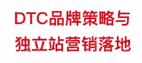 孙明明DTC品牌策略与独立站营销落地跨境课程-外贸教程-精品网课-电商运营课库课堂