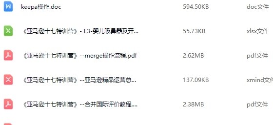 十七说跨境亚马逊特训营：新品爆破模型/类目垄断蓝图/平台算法漏洞