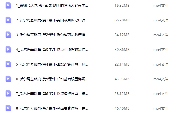 狼潇会敏哥沃尔玛电商运营课程：从基础到高阶全流程覆盖