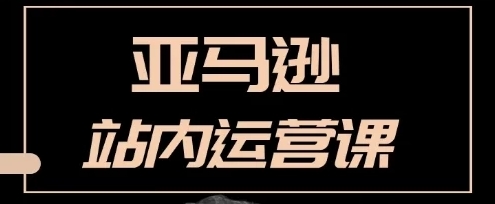 狼潇会敏哥亚马逊站内运营课：亚马逊跨境电商实战全流程跨境课程-外贸教程-精品网课-电商运营课库课堂